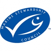 MSC logo